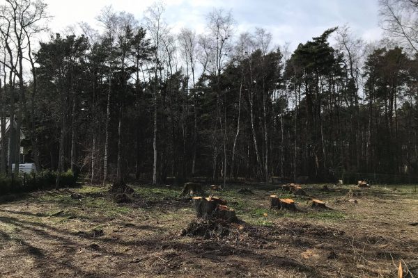 raadimine, kruntide puhastamine